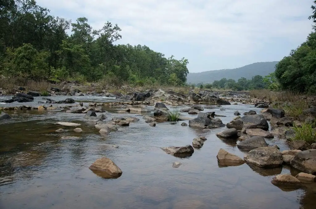 Discovering the Magic of Similipal: A Trip to a Tiger's Reserve