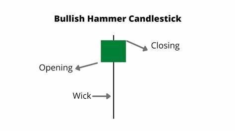 Bullish Hammer